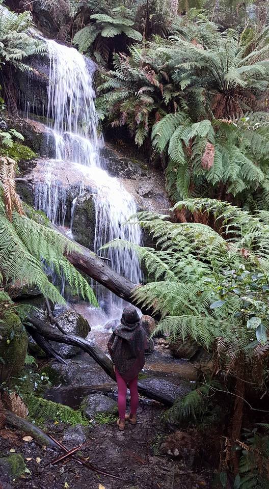 11008506_10153265084385915_6554001458290800877_n