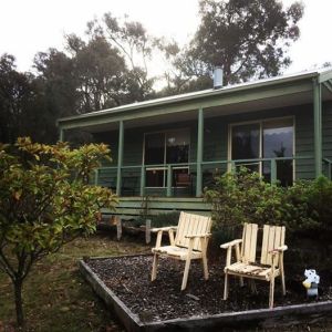 Forest Haven Front View