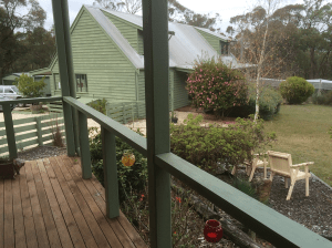 Forest Haven Side View