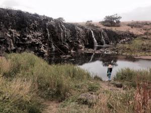 10409559_10152942980485915_6866570168121074047_n