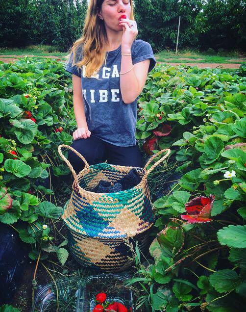 12576155_1716193628623631_1680993155_n