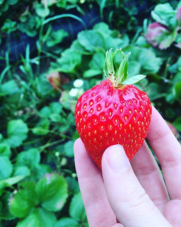 12576179_1716193651956962_598192437_n