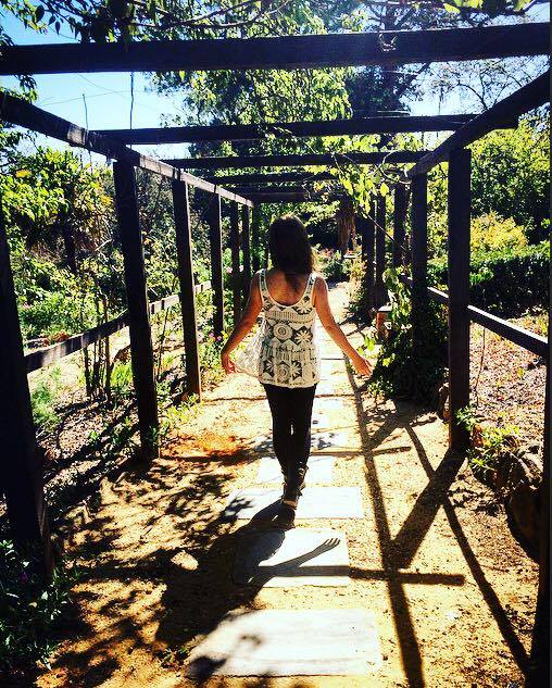 12746140_1726703784239282_1180007040_n