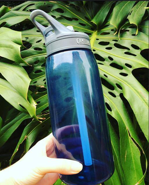 12746602_1727247530851574_1067743589_n