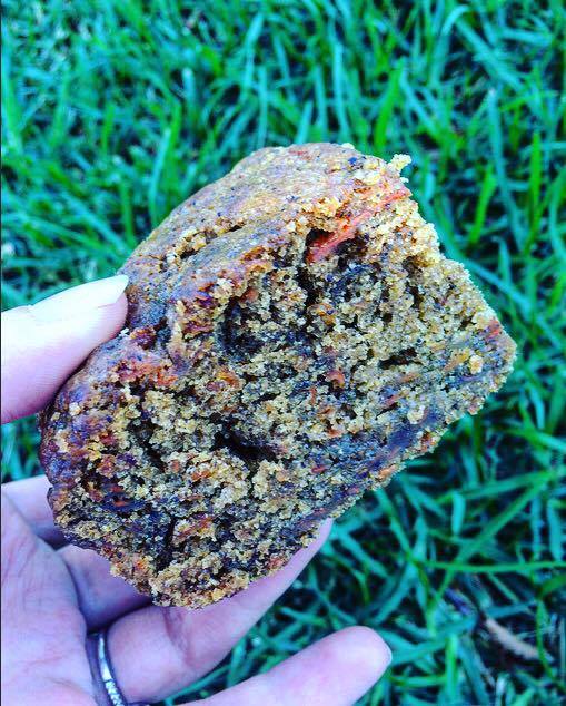 12782333_1727964864113174_457345973_n