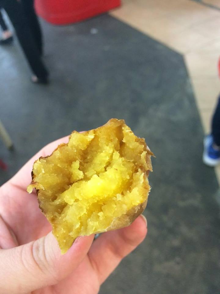 12969212_1748947925348201_143506533_n