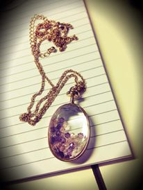 1375641_1431226840453646_45215110_n