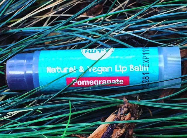 13180923_1759278224315171_892282954_n