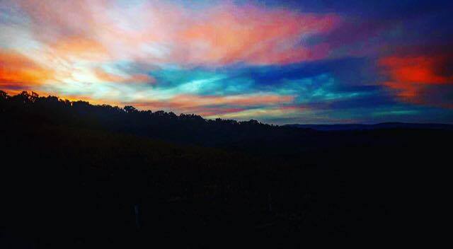 13288847_1766337746942552_940379709_n