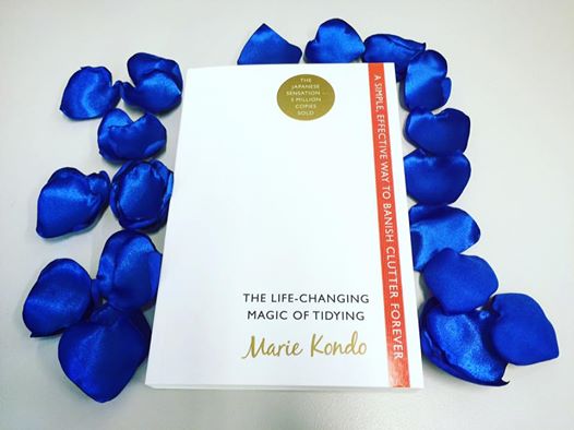 13339589_1769086360001024_8721352112309328616_n