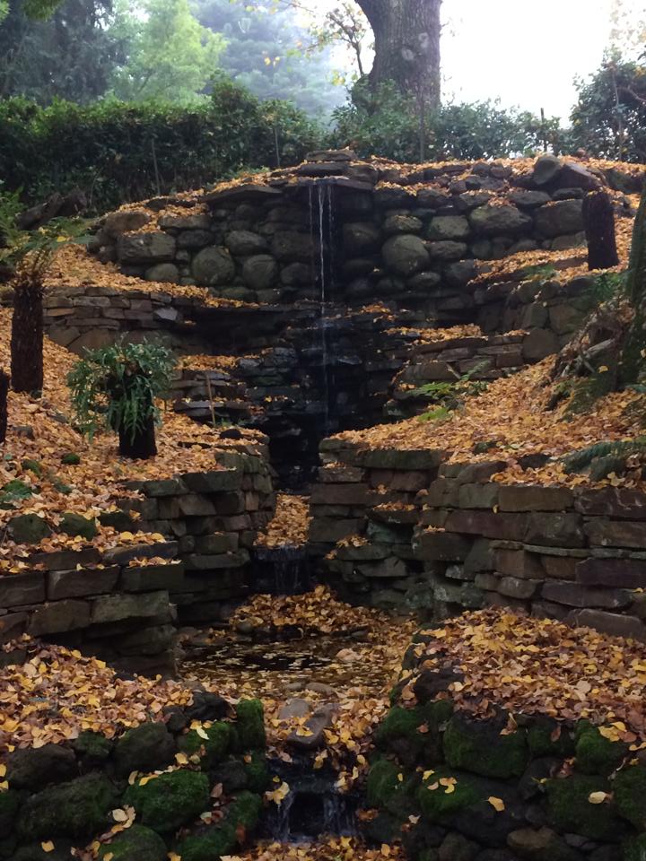 10390341_1450728325170164_9180346695358042852_n