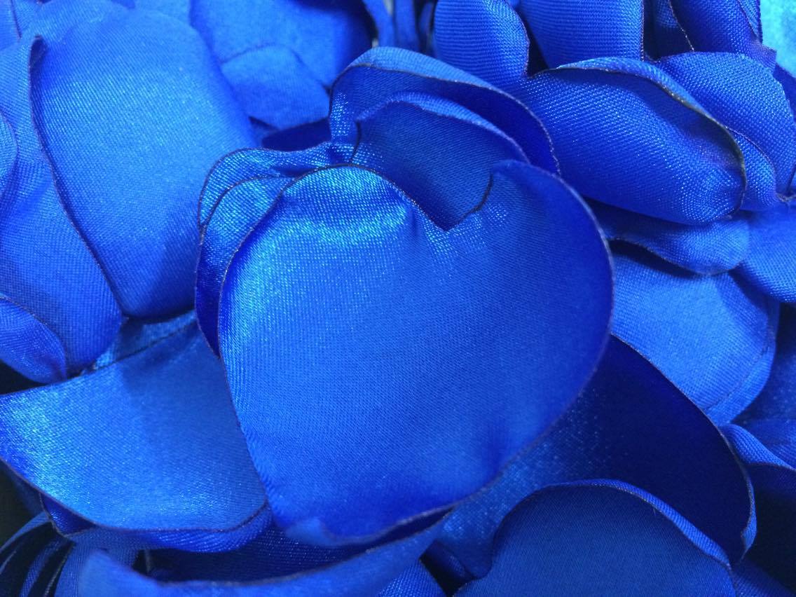 13323854_1770653246511002_2090581423_o