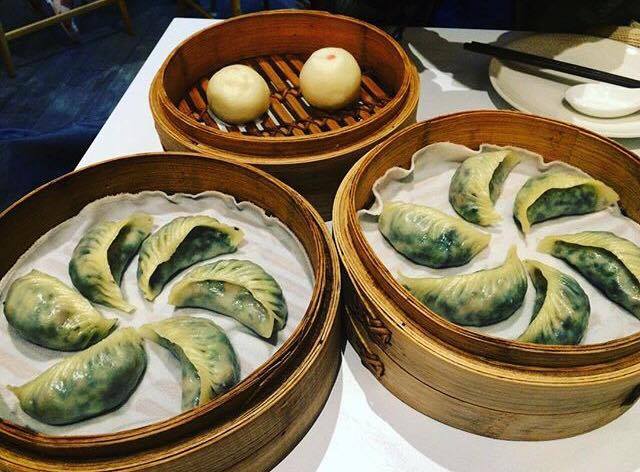 13349228_1770603566515970_1017674863_n