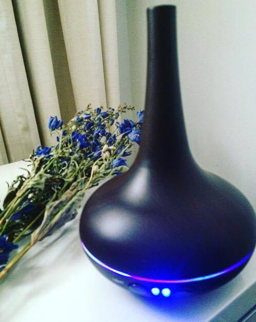 13434128_1775106589399001_1905640936_n