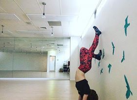 13312645_1771592753083718_3404140976141135760_n