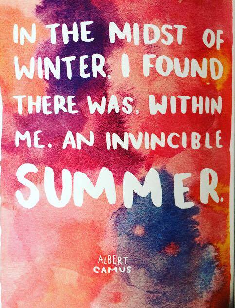 13566073_1783292231913770_280484755_n