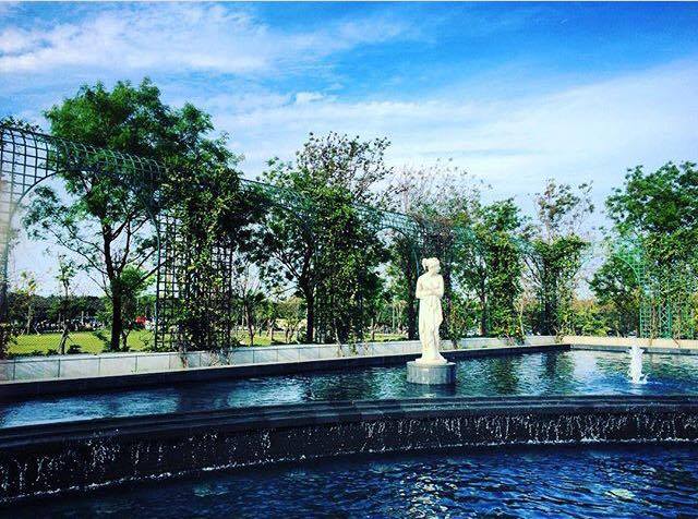 13816933_1791187017790958_159486472_n