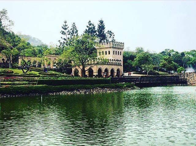 13817201_1791186414457685_310672480_n