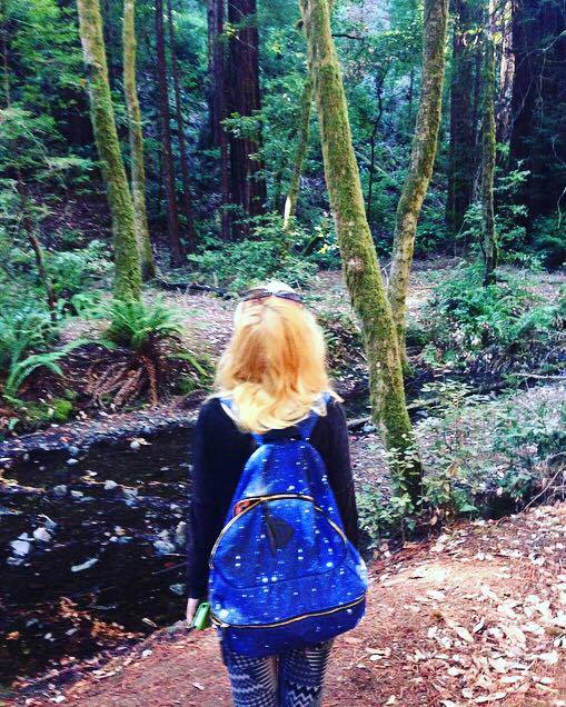 13823316_1793625024213824_1085832651_n