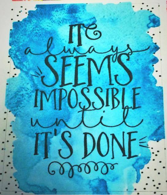 14101516_1805953299647663_967422955_n