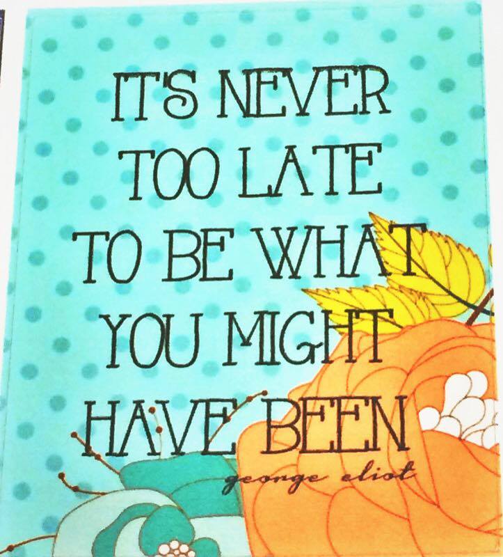 14112097_1805953256314334_307134888_n