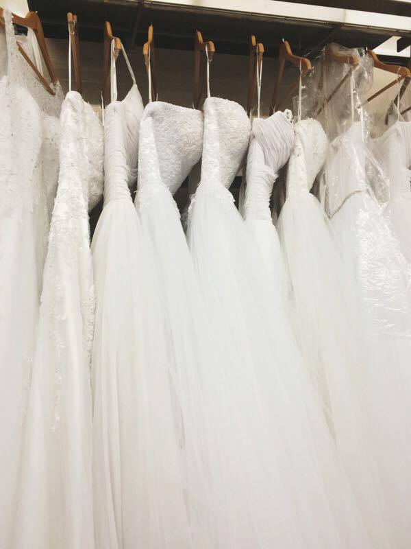 14138292_1806494962926830_2017372803_n