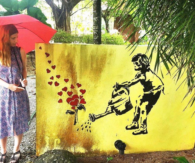 15033579_1848797712029888_570965295_n