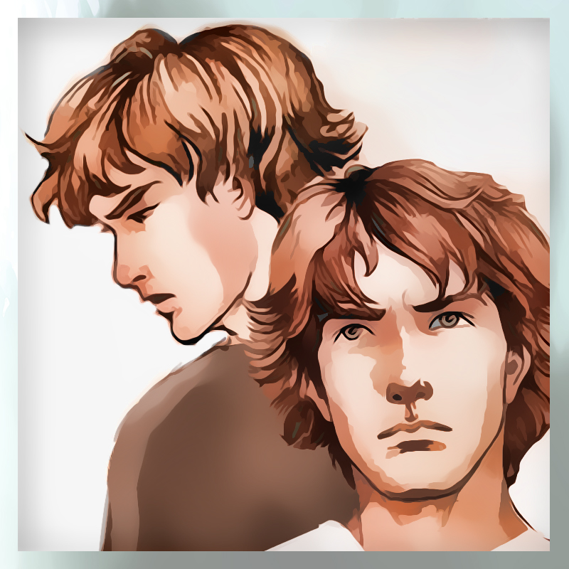 gemini-frame