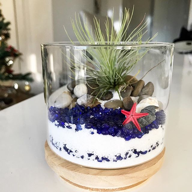 14727556_155341194944516_3473572263977025536_n