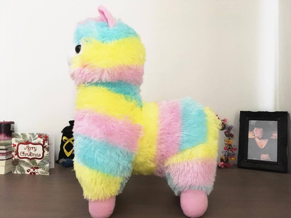 15540345_1867352230174436_1306897342_o