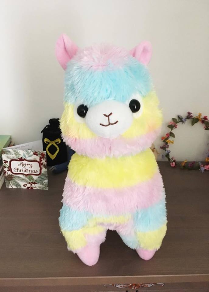 15555904_1867352240174435_2022501147_n