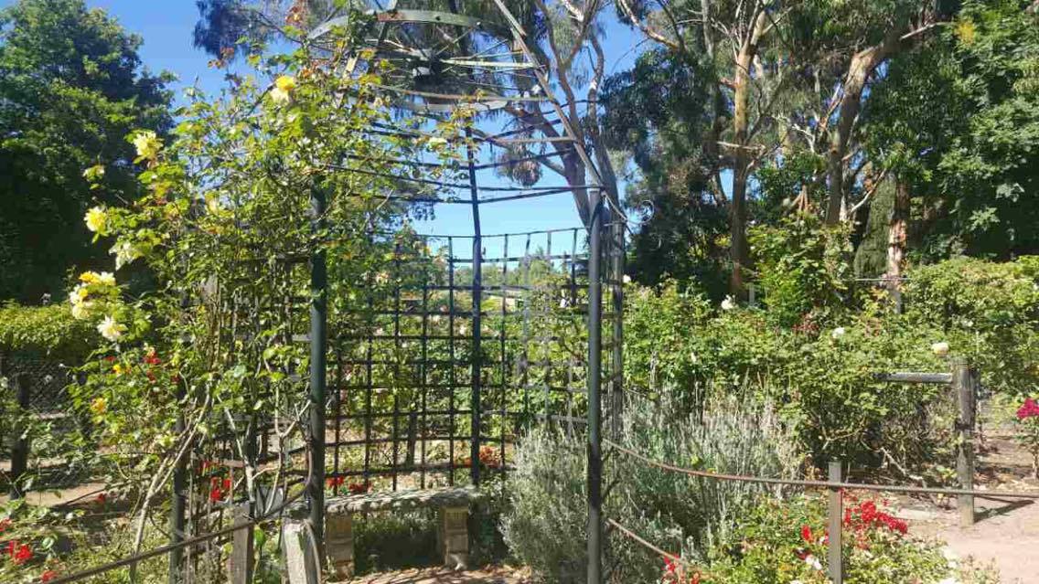 16145809_1888075301435462_1683205295_o