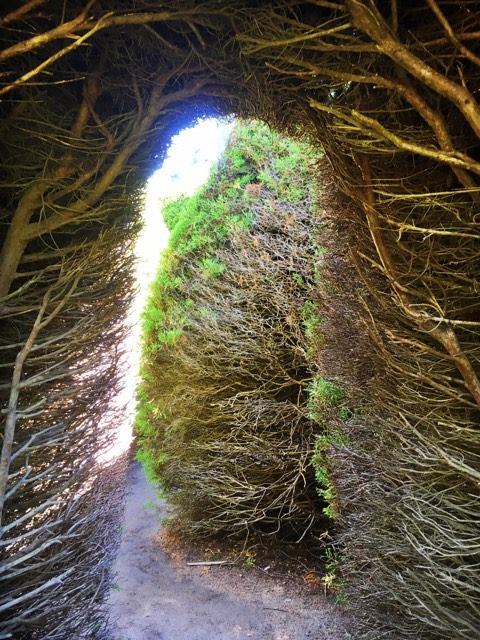 16176466_1888074558102203_1247695974_n