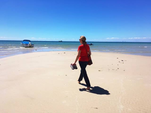 16176487_1888074294768896_2086125179_n