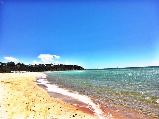 16216202_1888074168102242_468358540_n