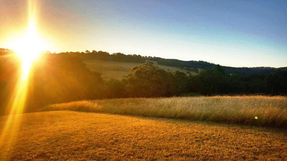 16231260_1888074428102216_1655030419_o