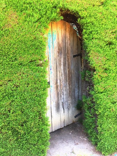 16237514_1888074634768862_1071340884_n