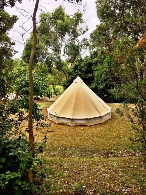 16237767_1888073048102354_1975022848_n