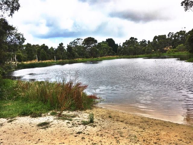 16237909_1888072621435730_1352470326_n