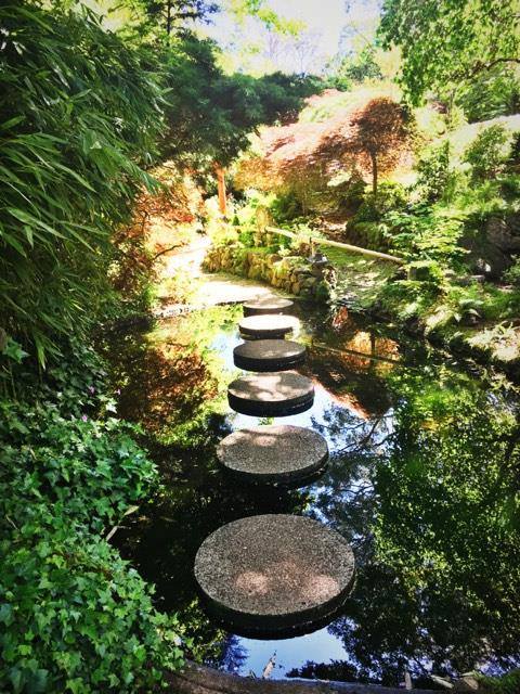 15094526_1852330051676654_2767299602176689316_n