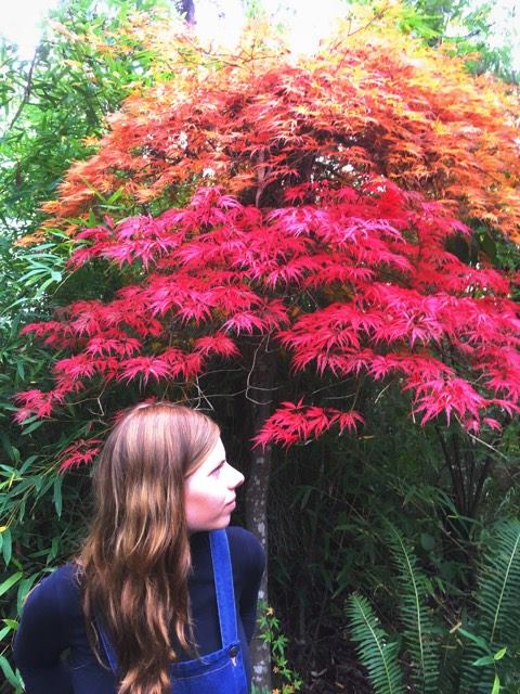 18073218_1940728266170165_1905754134_n