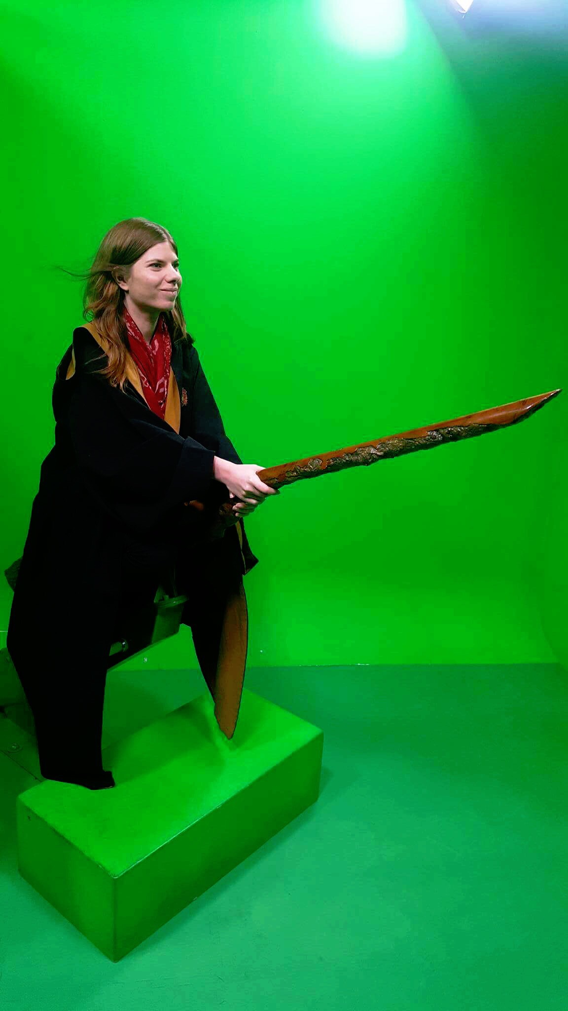 The Ultimate Harry Potter Tag!