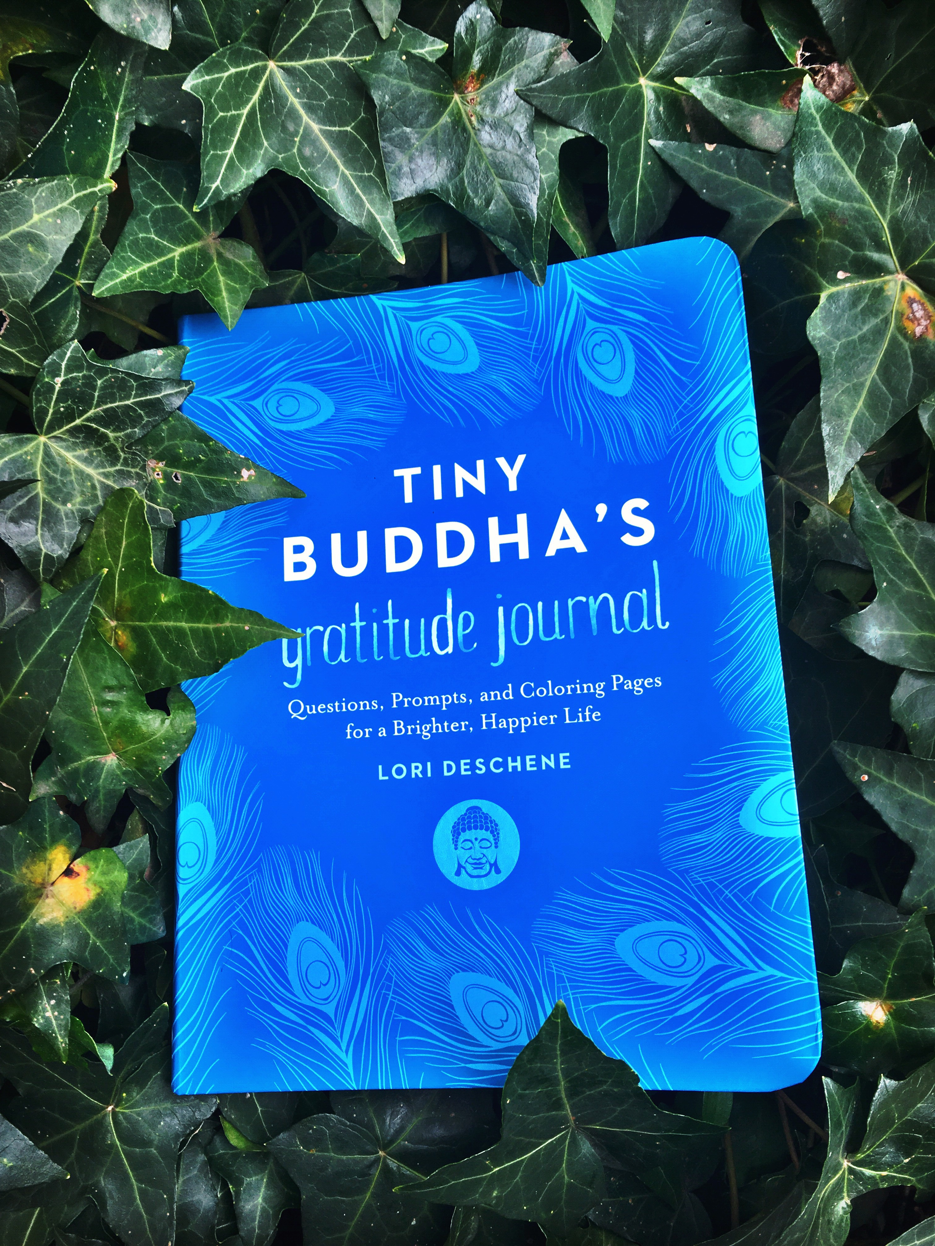 July Favourites 2017!