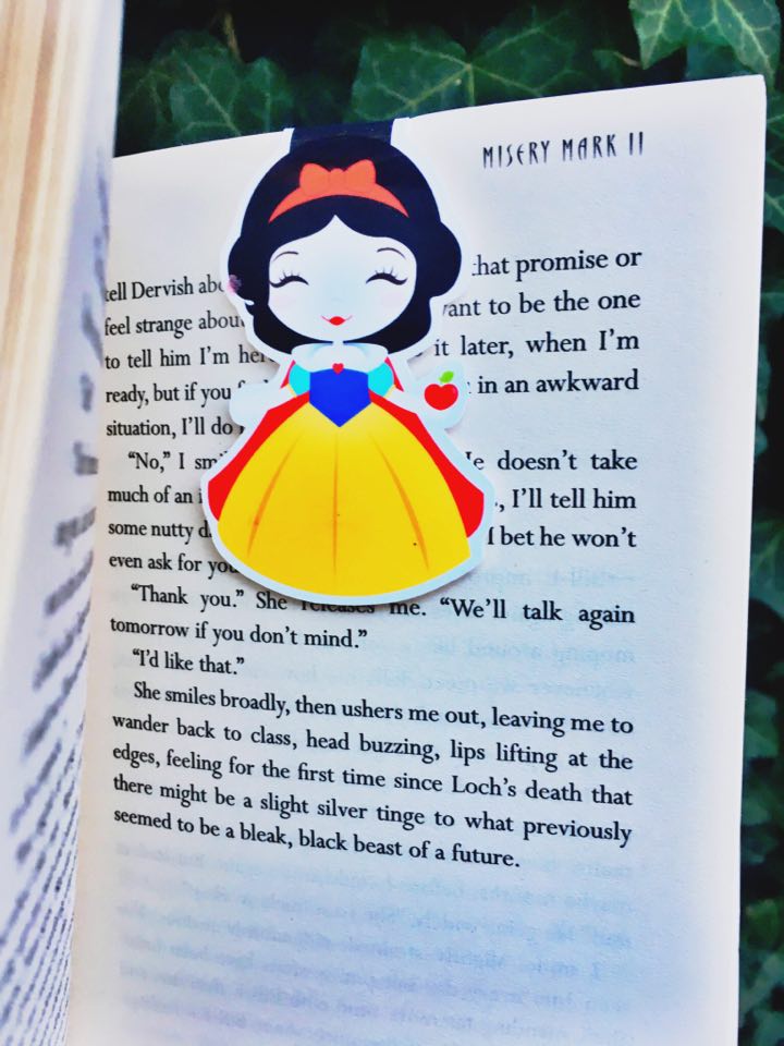 20527412_1995863897323268_409398188_n