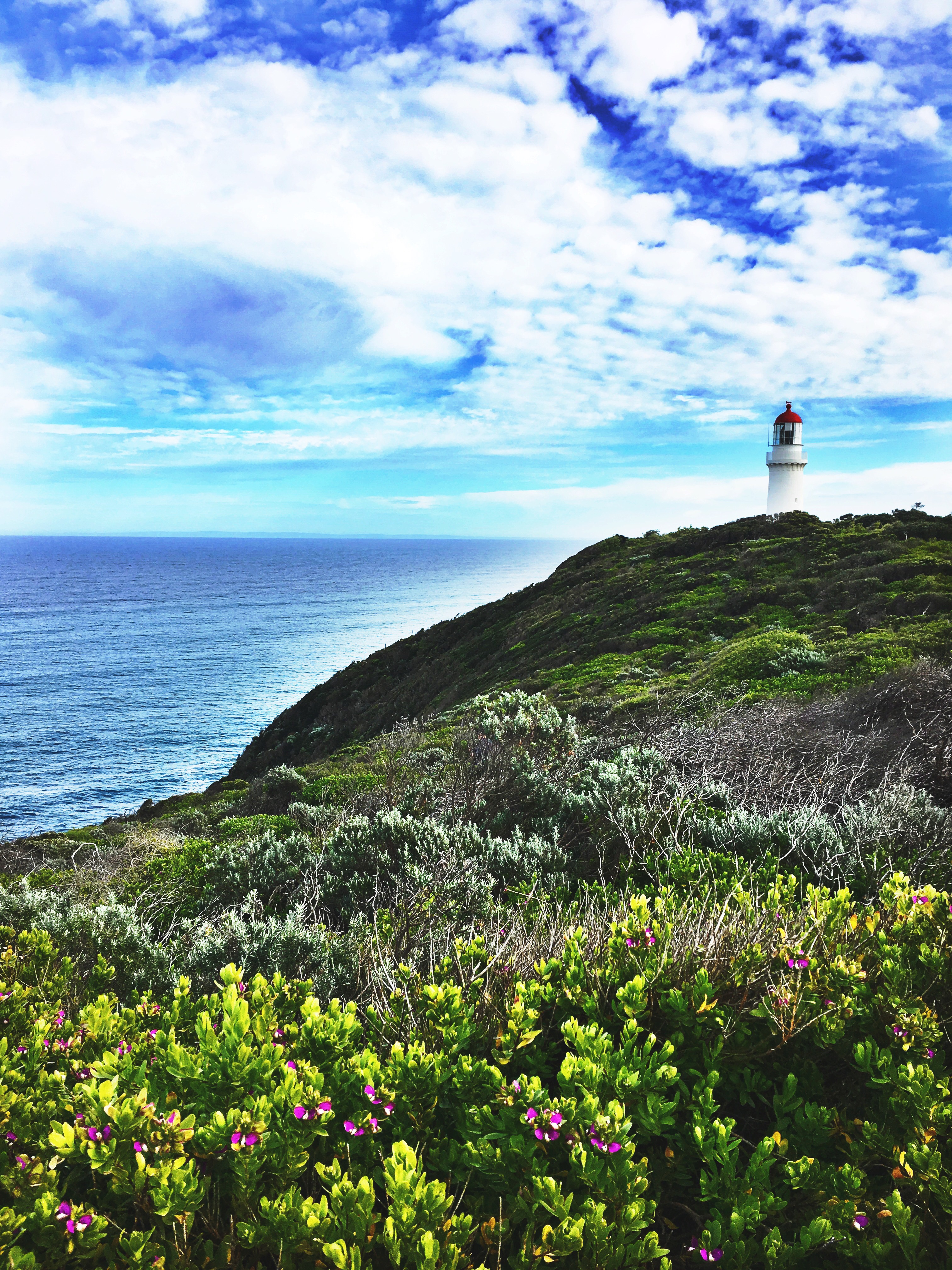 August Favourites 2017!