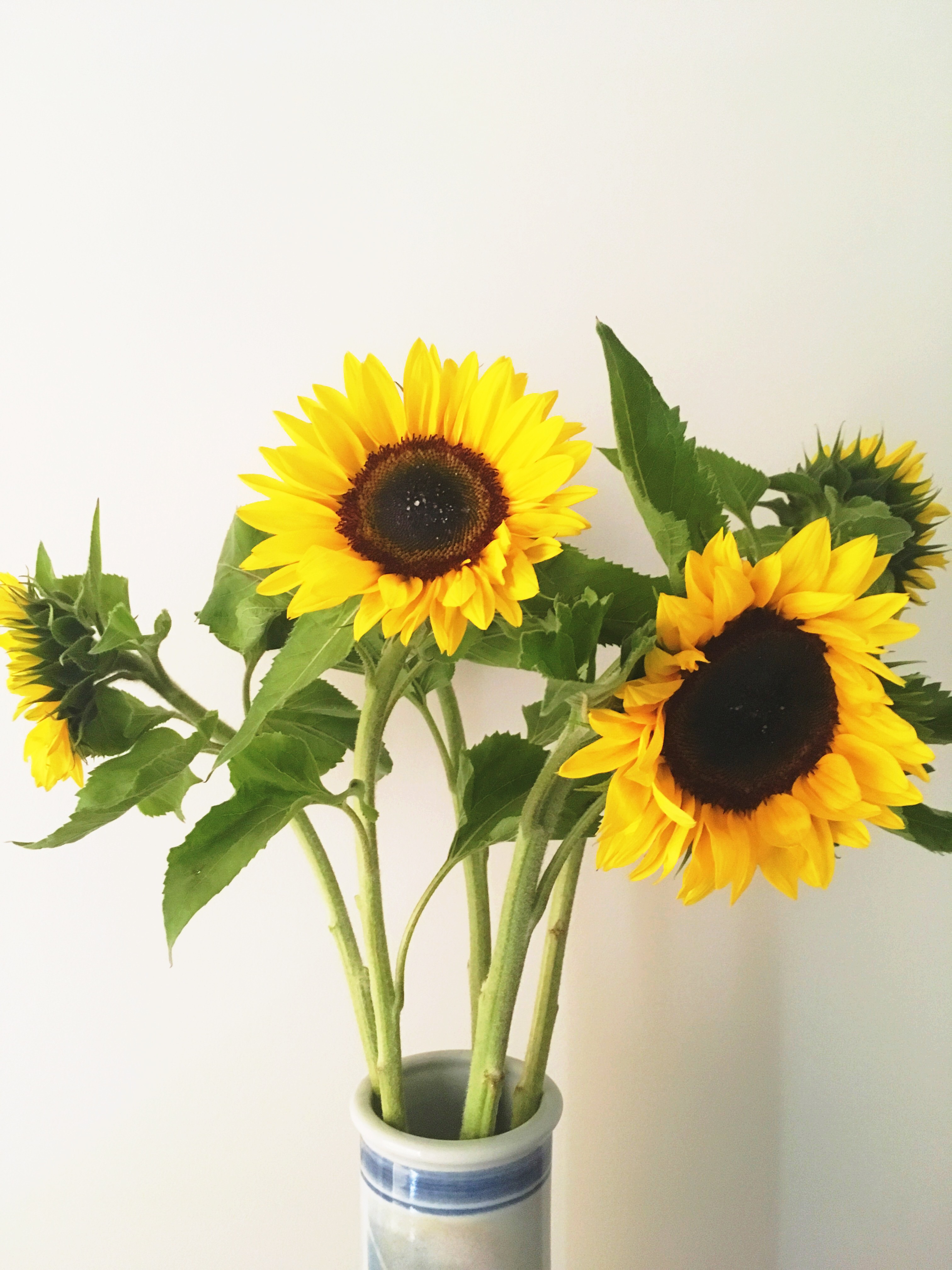 I Love Spring Book Tag!