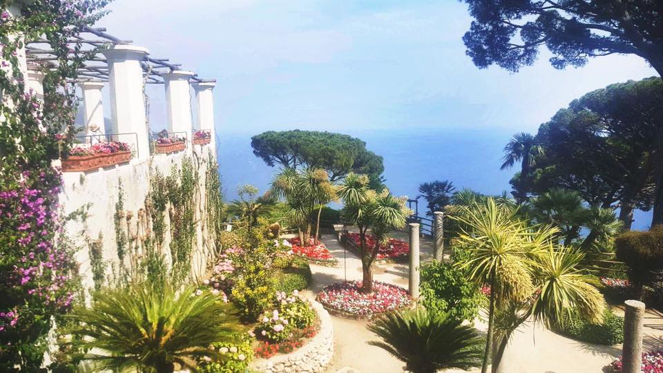 18950955_1966664963576495_91019849777390236_n