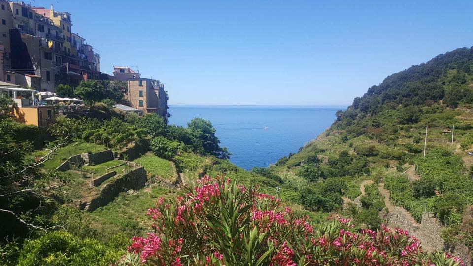 19274809_1972080736368251_1200216755926834135_n