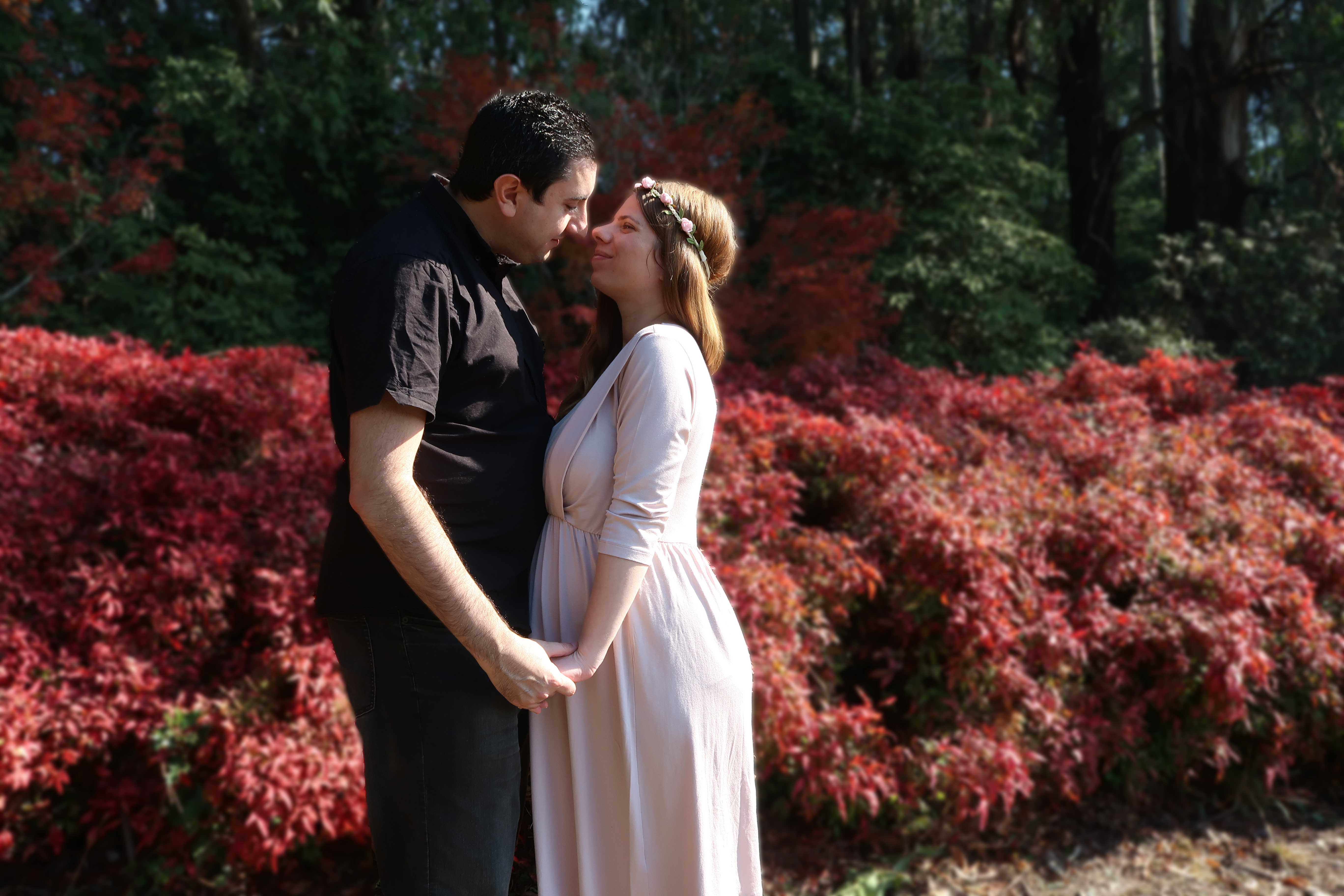 IMG_9565 - Copy edit