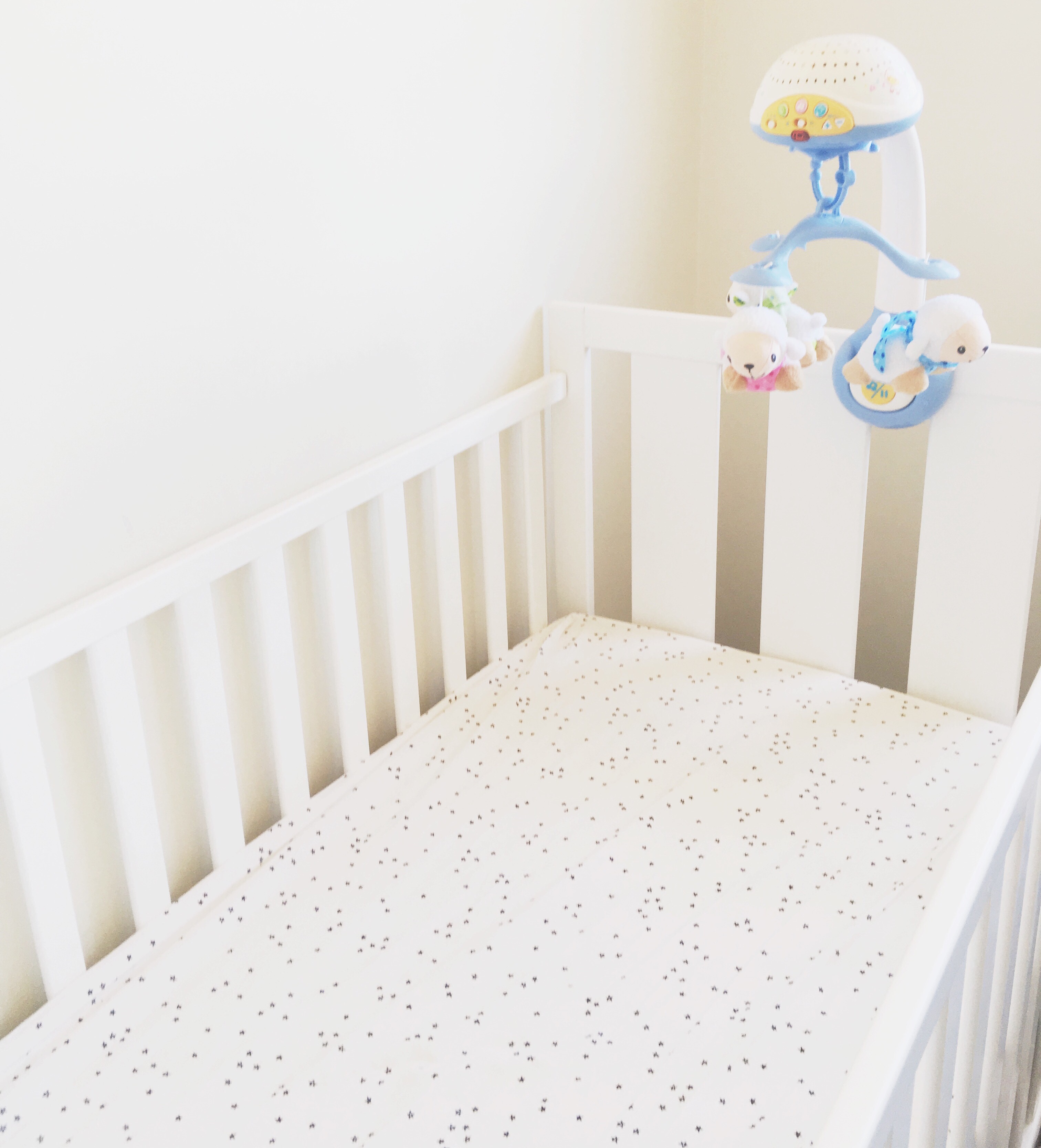 Abigail’s Nursery Tour!